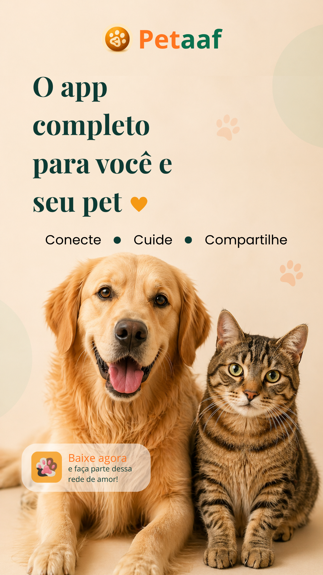 Tela do feed da Petaaf com publicações da comunidade